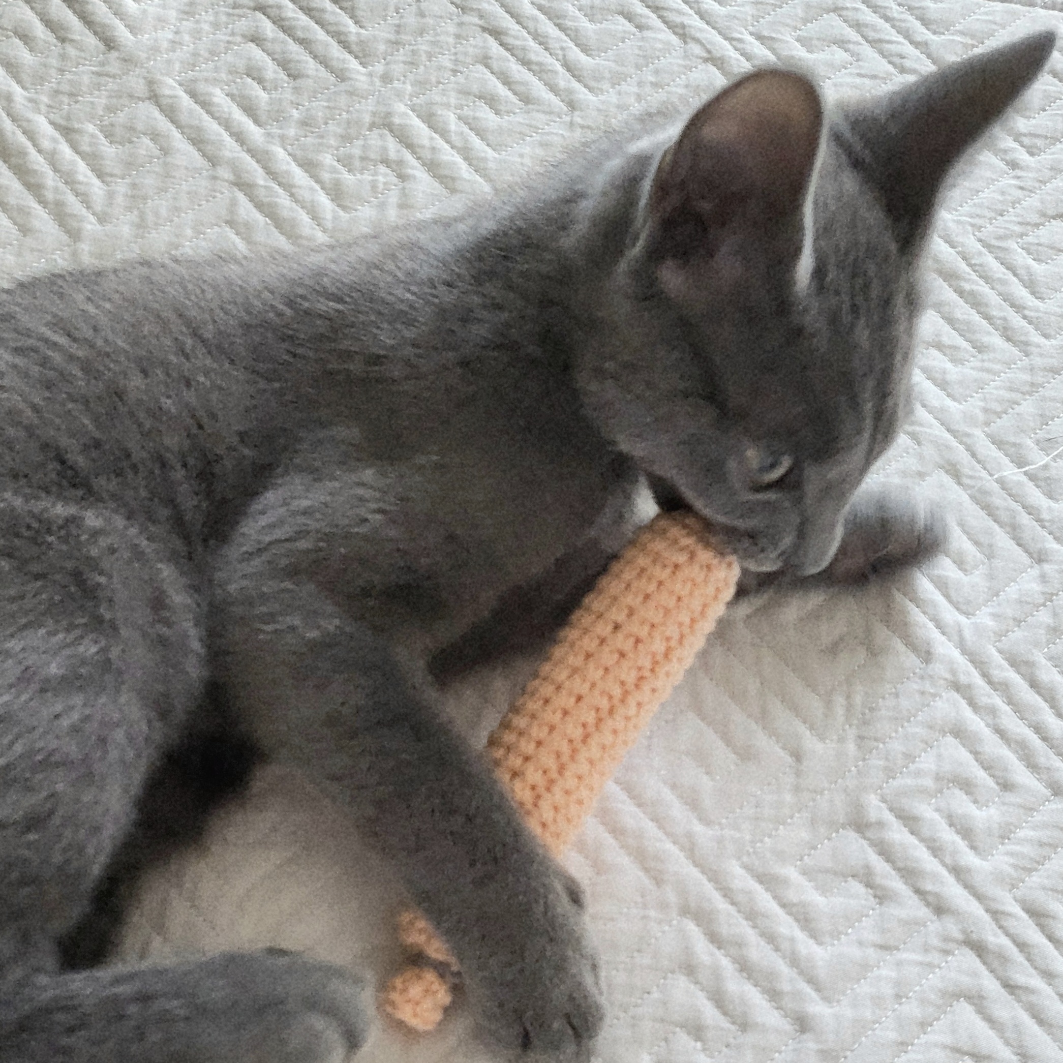 เจเป่อพอนด์ ประเทศไทย