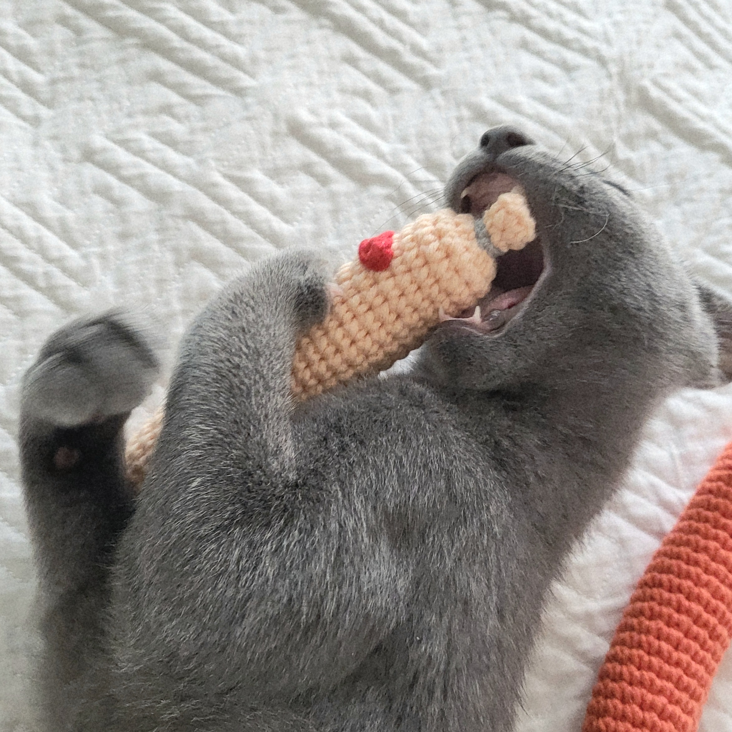 เจเป่อพอนด์ ประเทศไทย